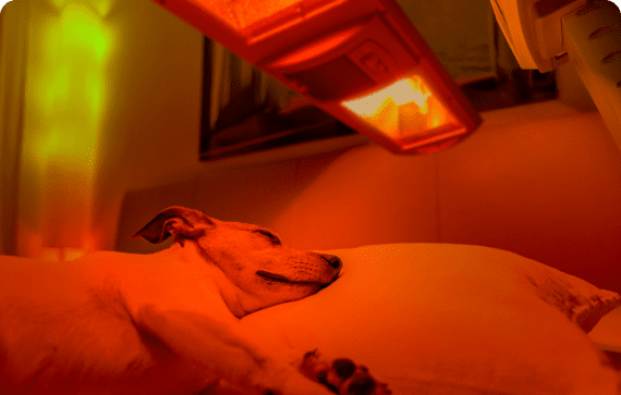 red light therapy